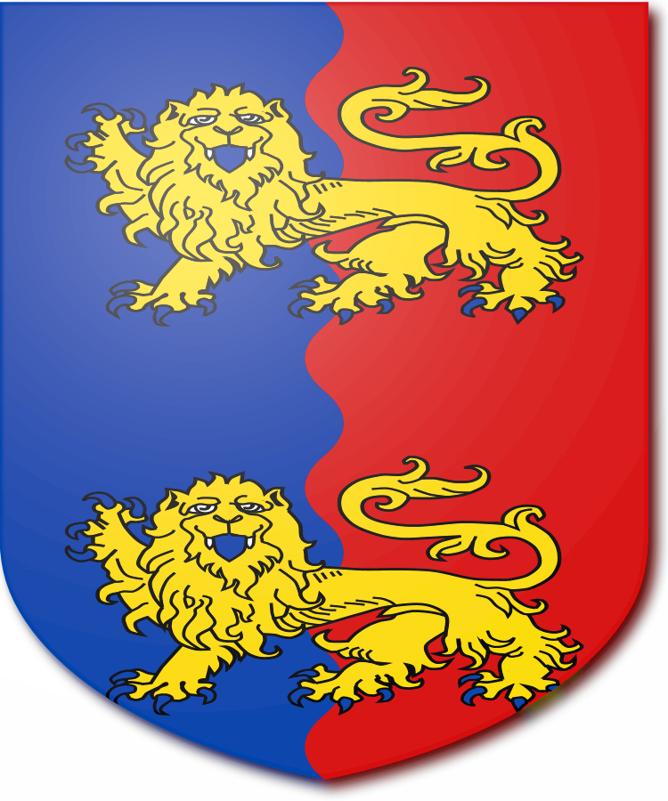 Shield image