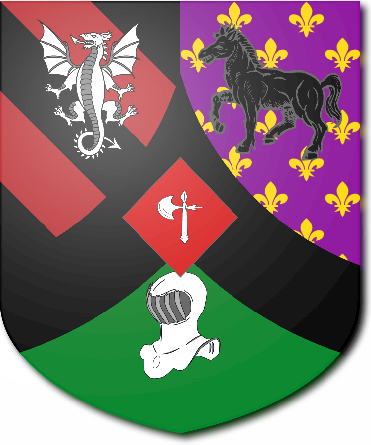 Shield image