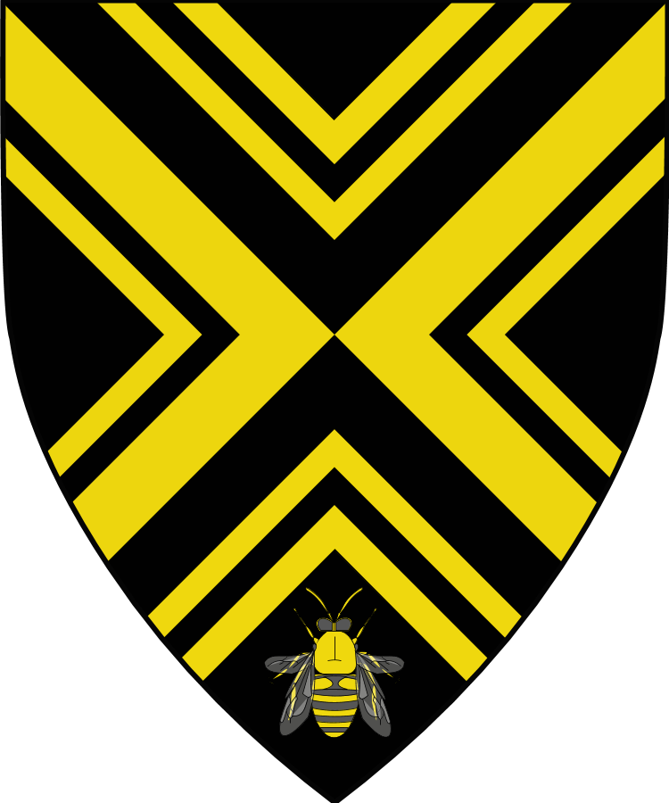 Shield image