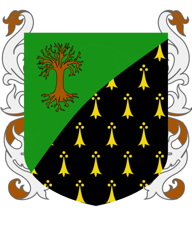 Shield image