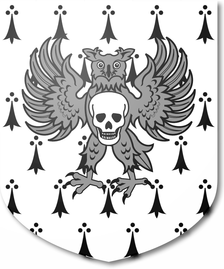 Shield image