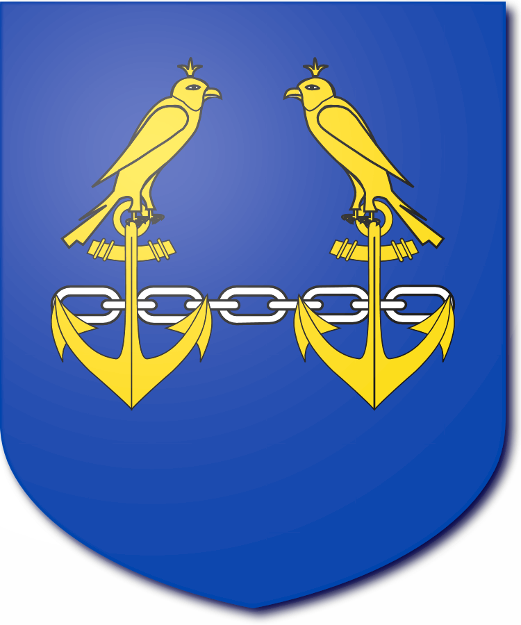 Shield image