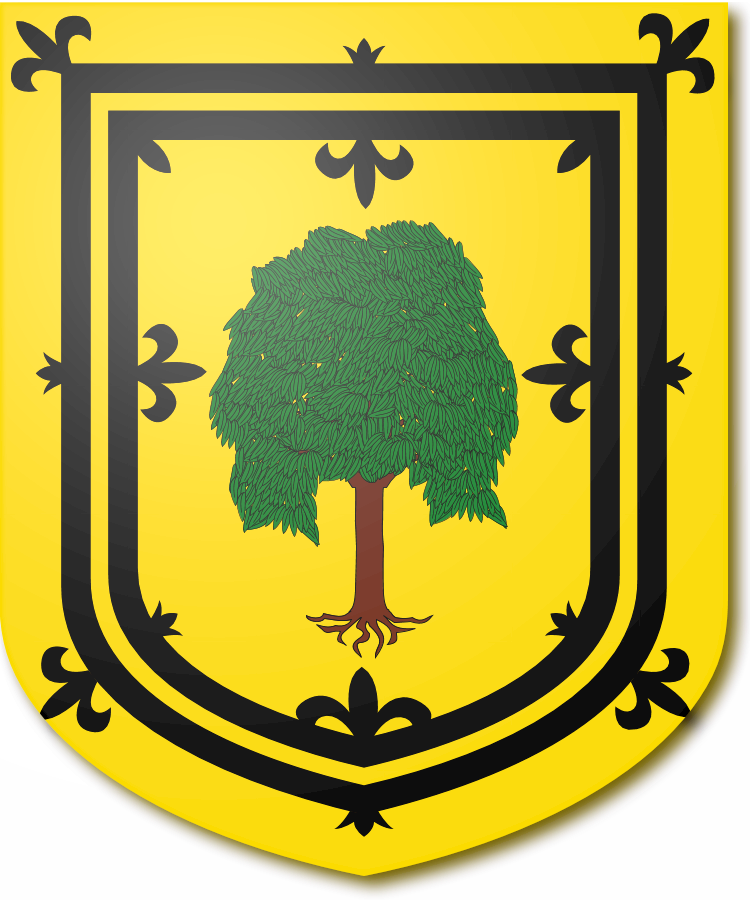 Shield image