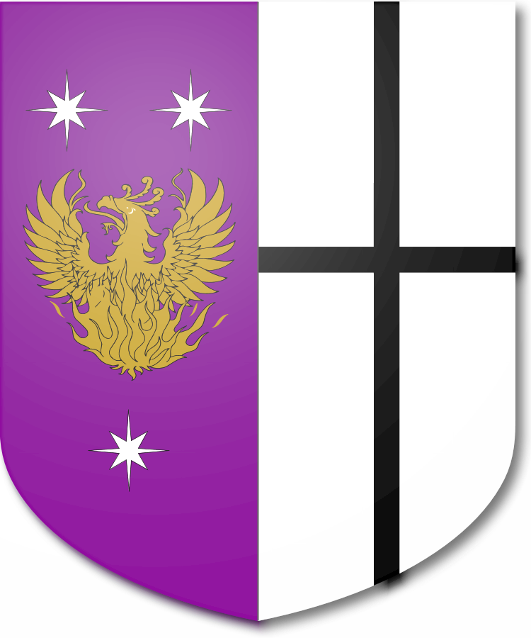 Shield image