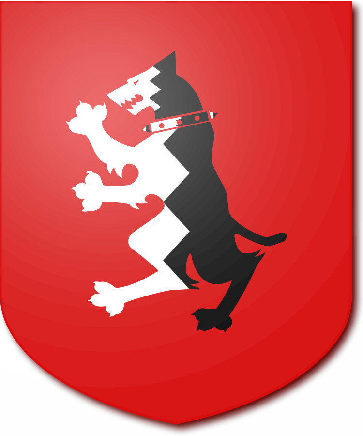 Shield image