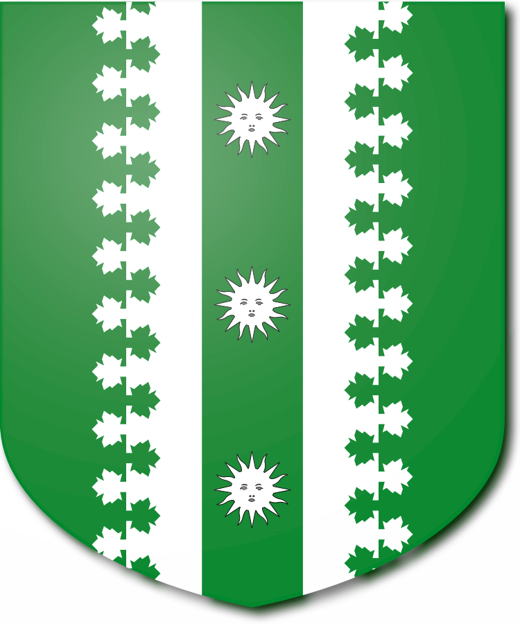 Shield image