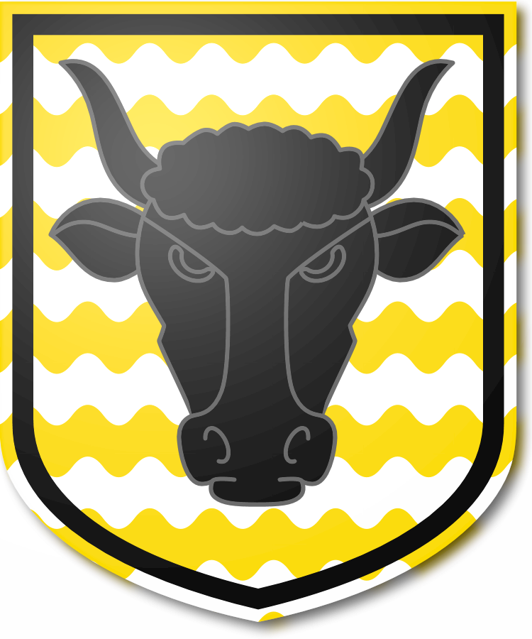 Shield image