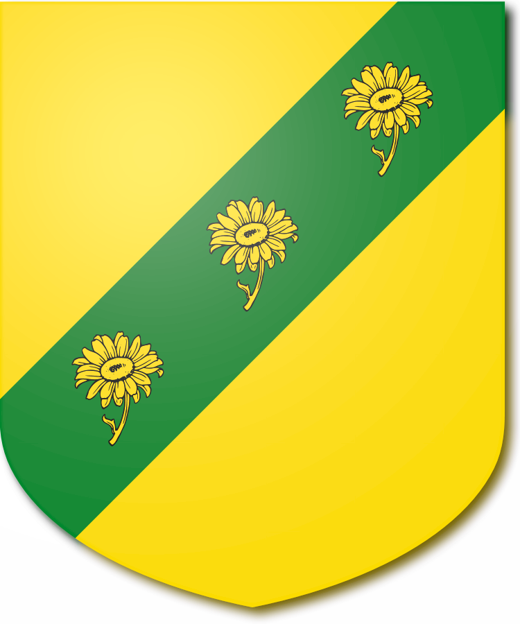 Shield image