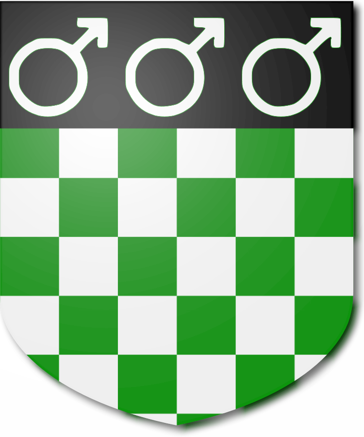 Shield image