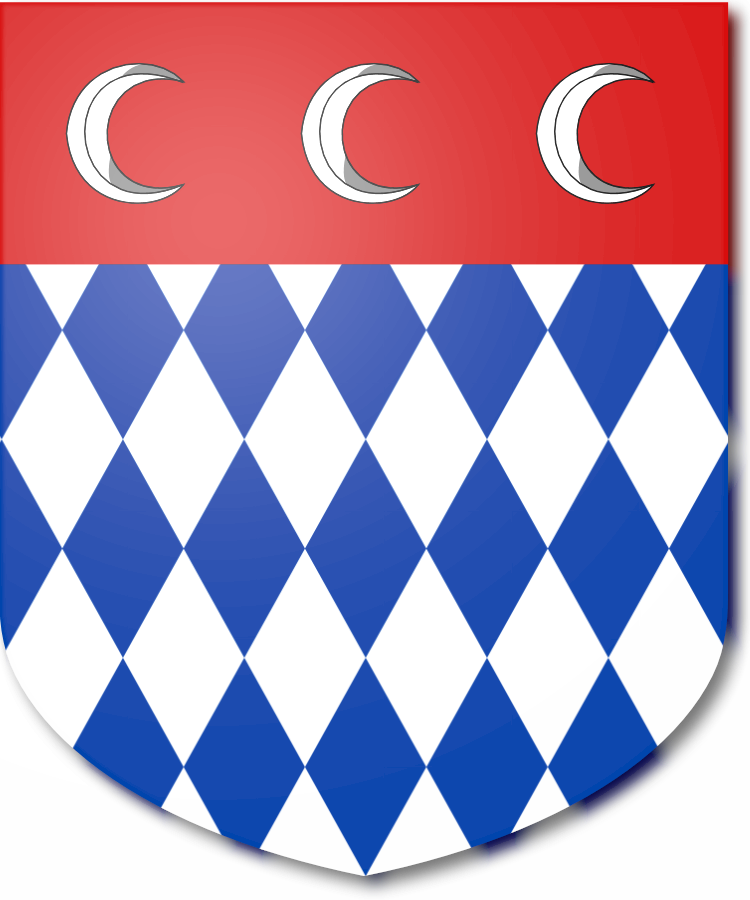 Shield image