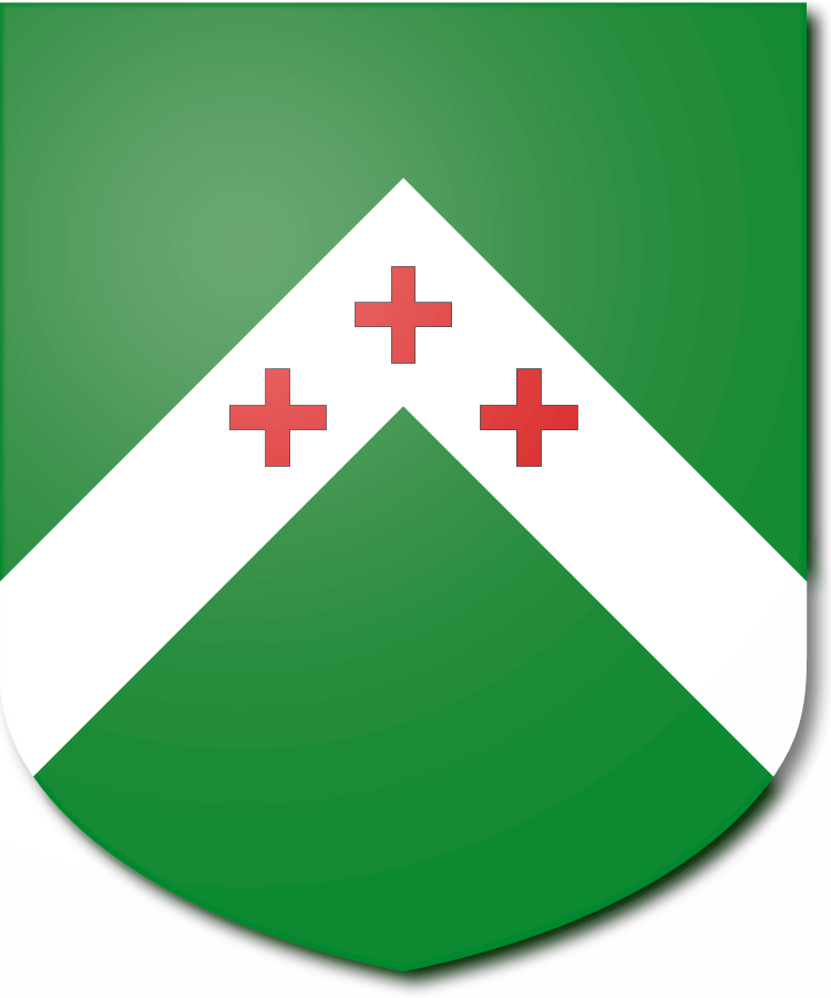 Shield image