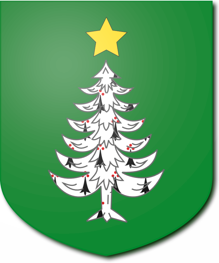 Shield image