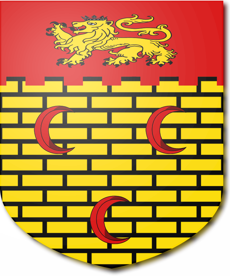 Shield image