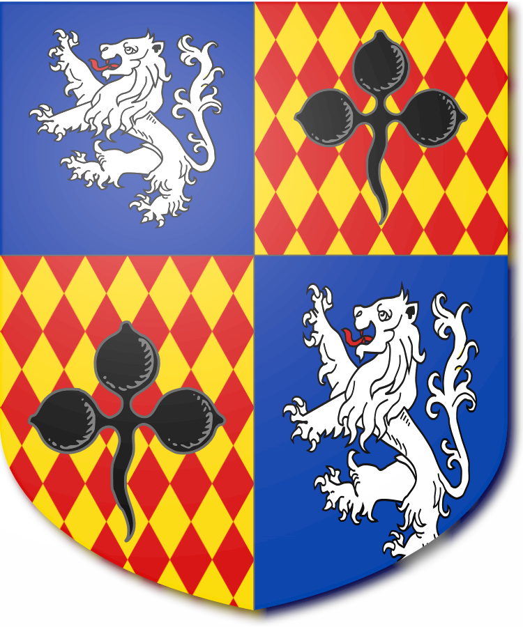 Shield image