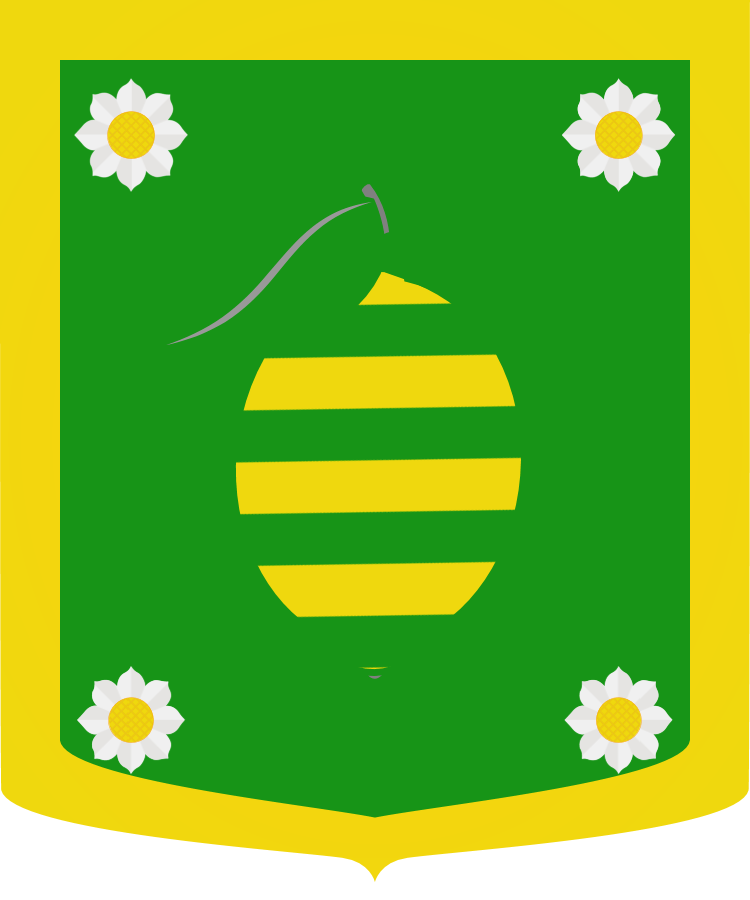 Shield image