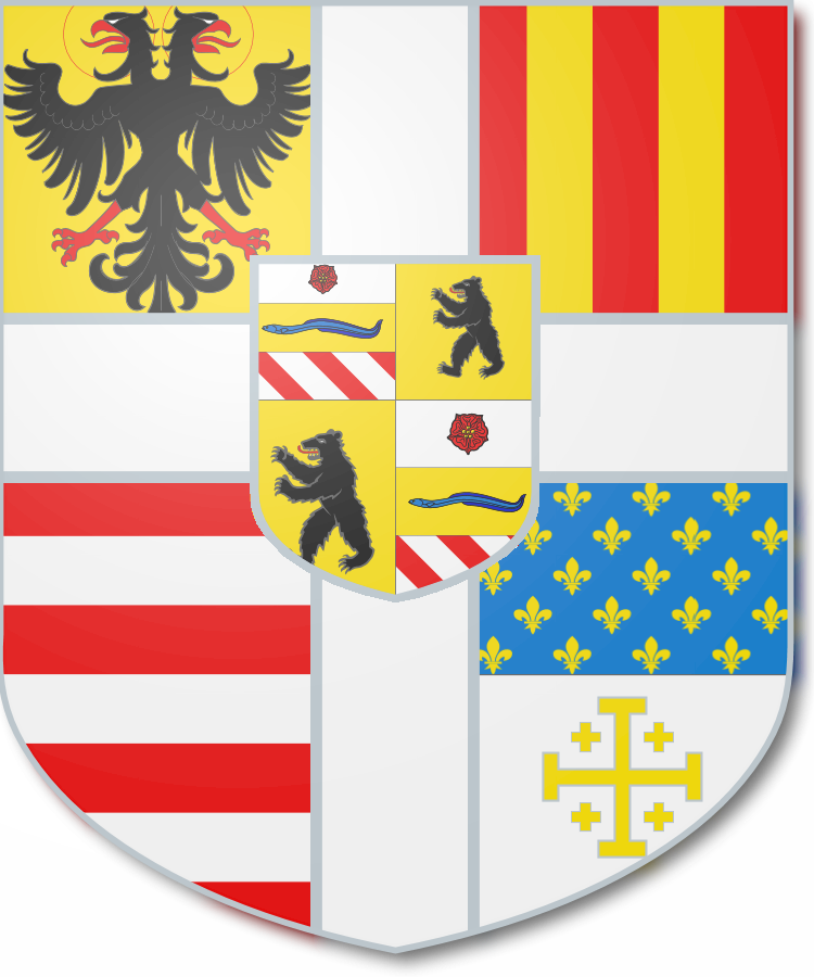 Shield image