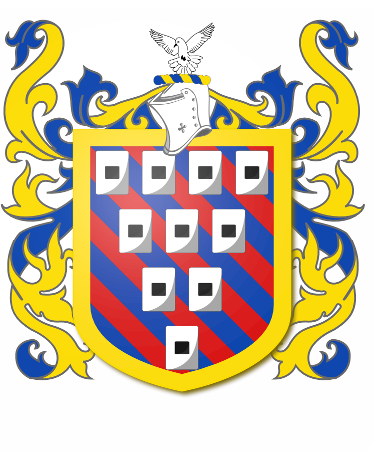 Shield image