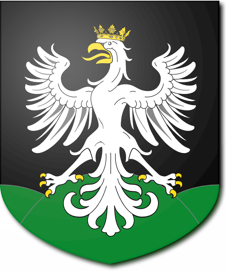 Shield image