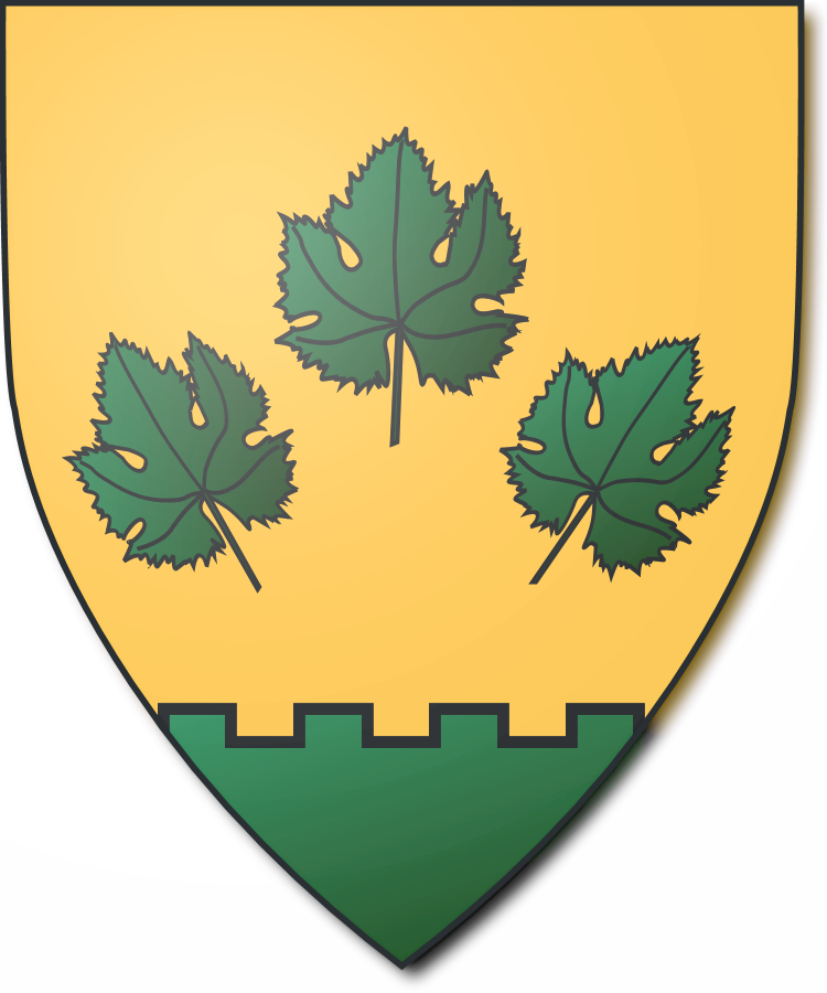 Shield image