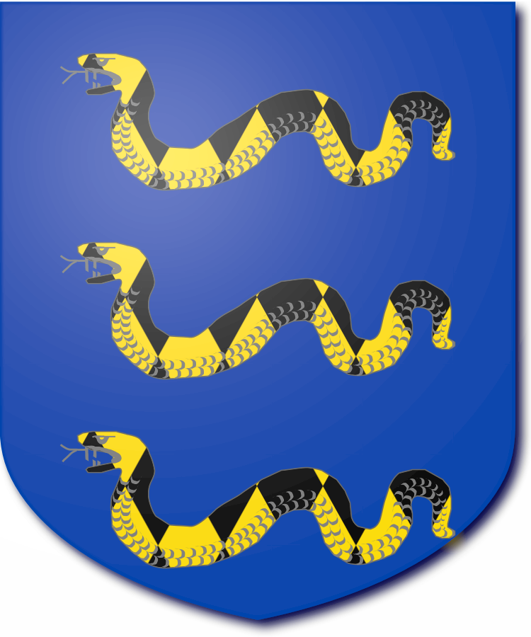 Shield image