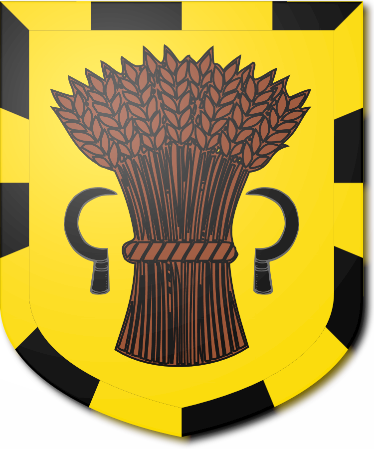 Shield image