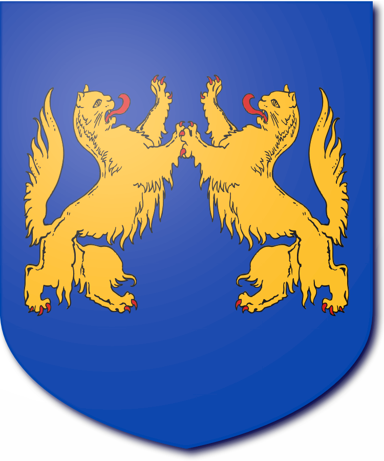 Shield image