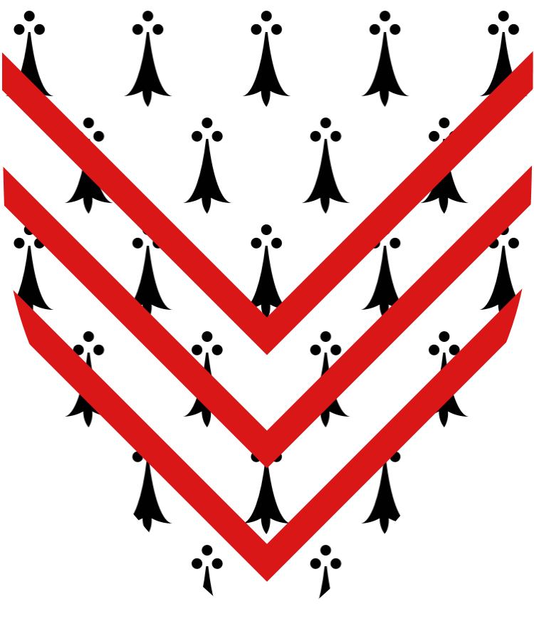 Shield image