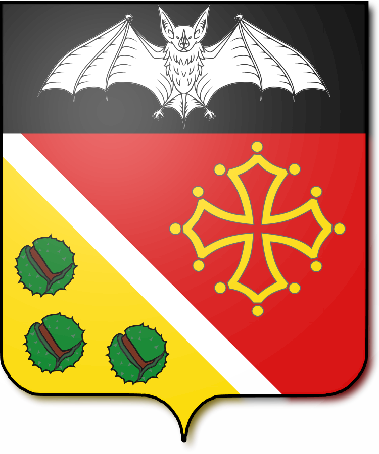 Shield image