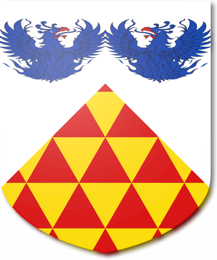 Shield image