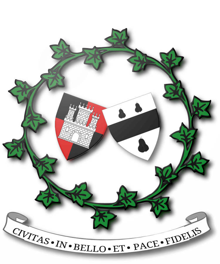 Shield image