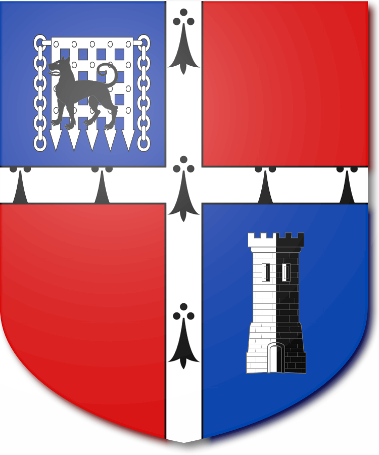 Shield image