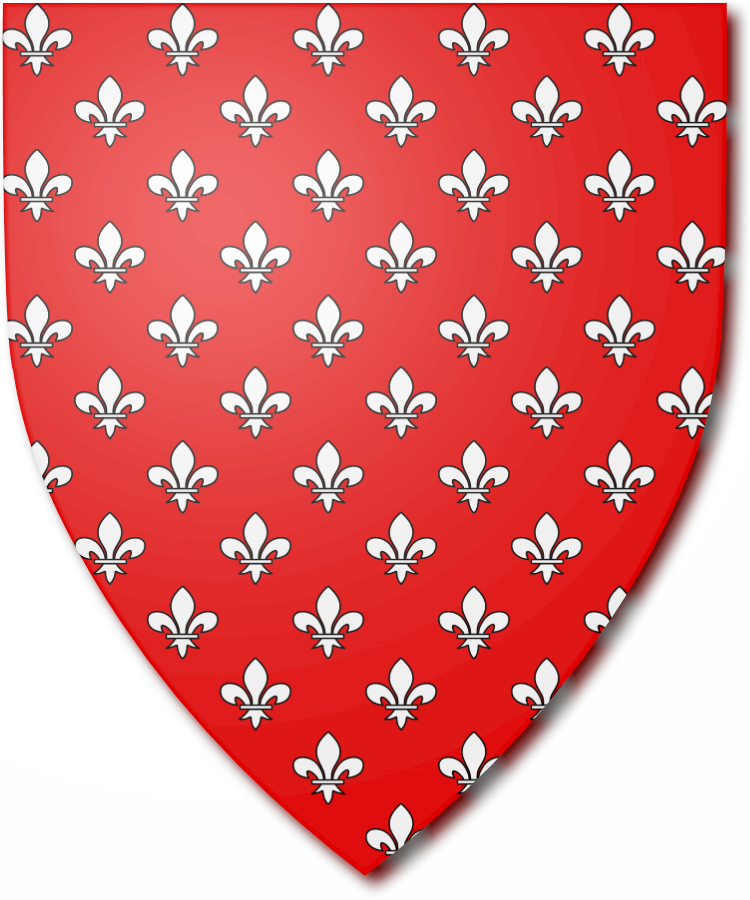 Shield image