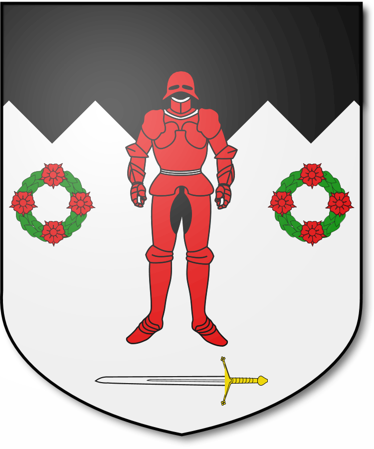 Shield image