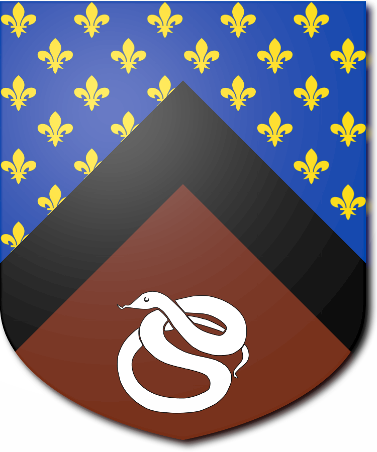 Shield image