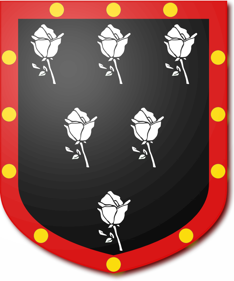 Shield image