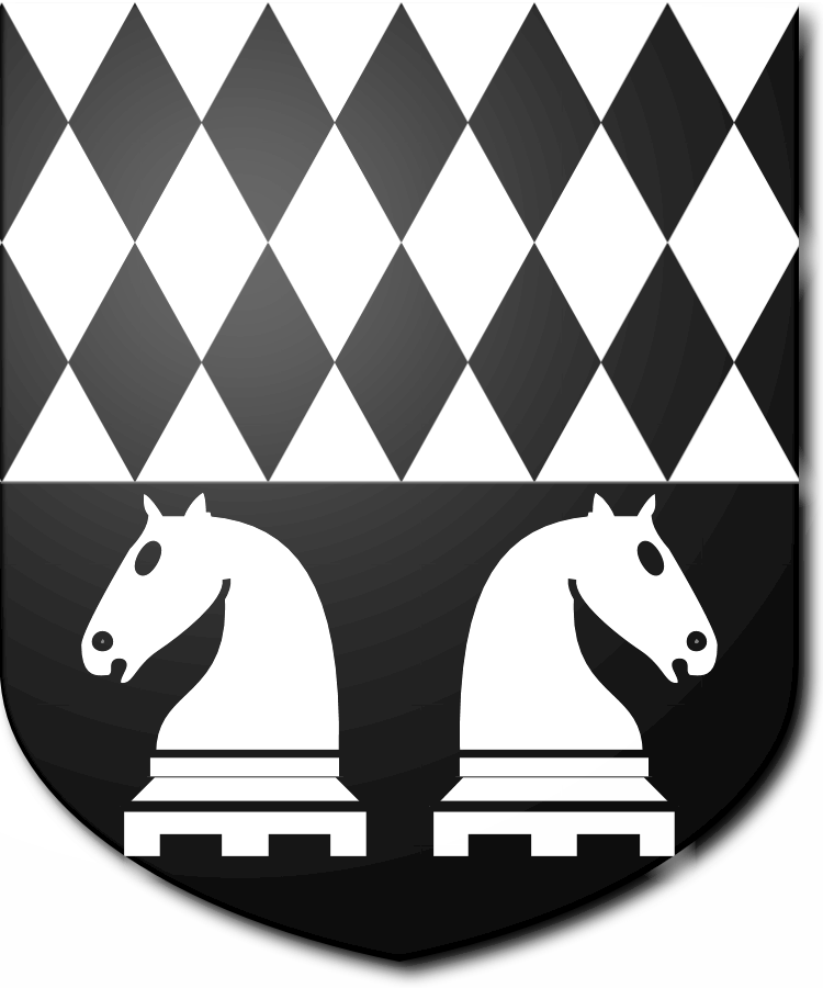 Shield image