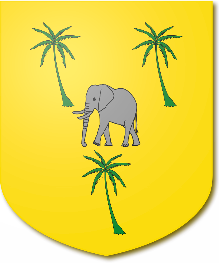 Shield image