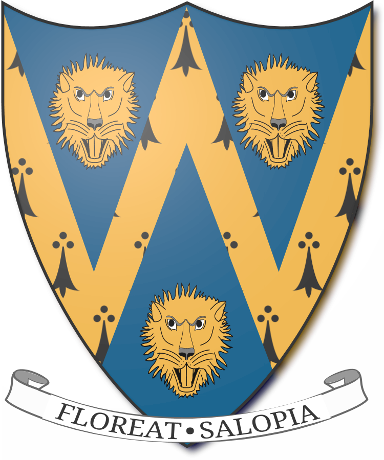 Shield image