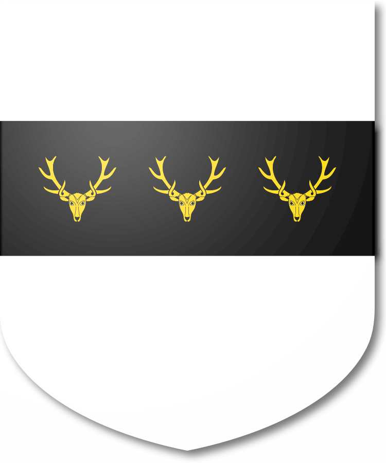 Shield image