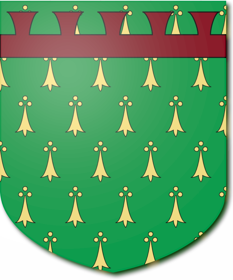 Shield image