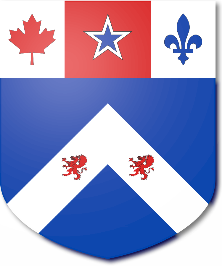 Shield image