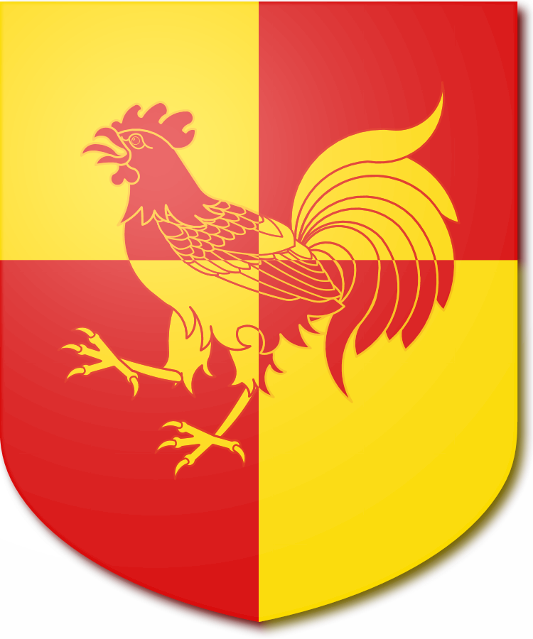 Shield image