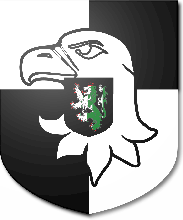 Shield image