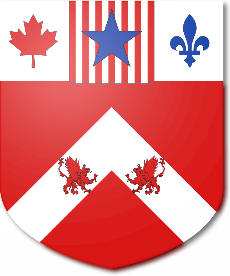 Shield image