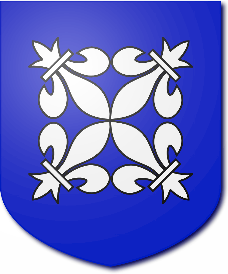 Shield image