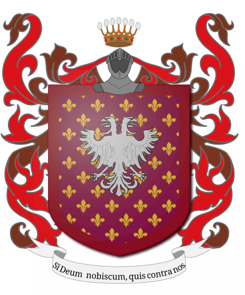 Shield image