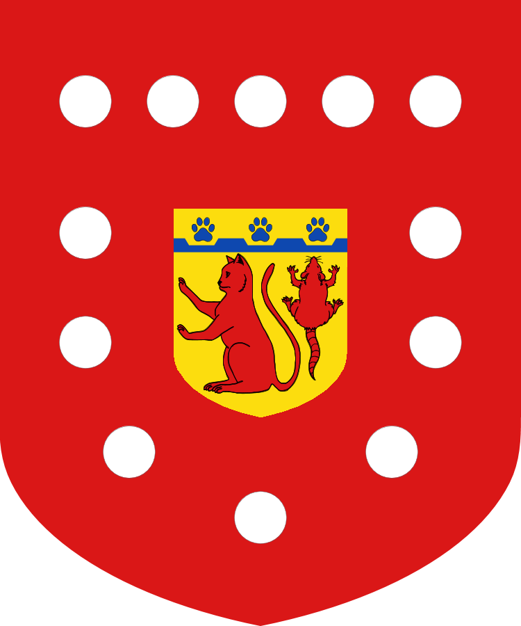 Shield image