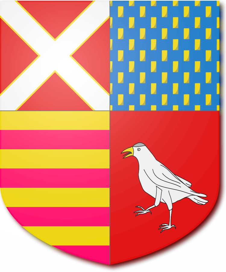 Shield image