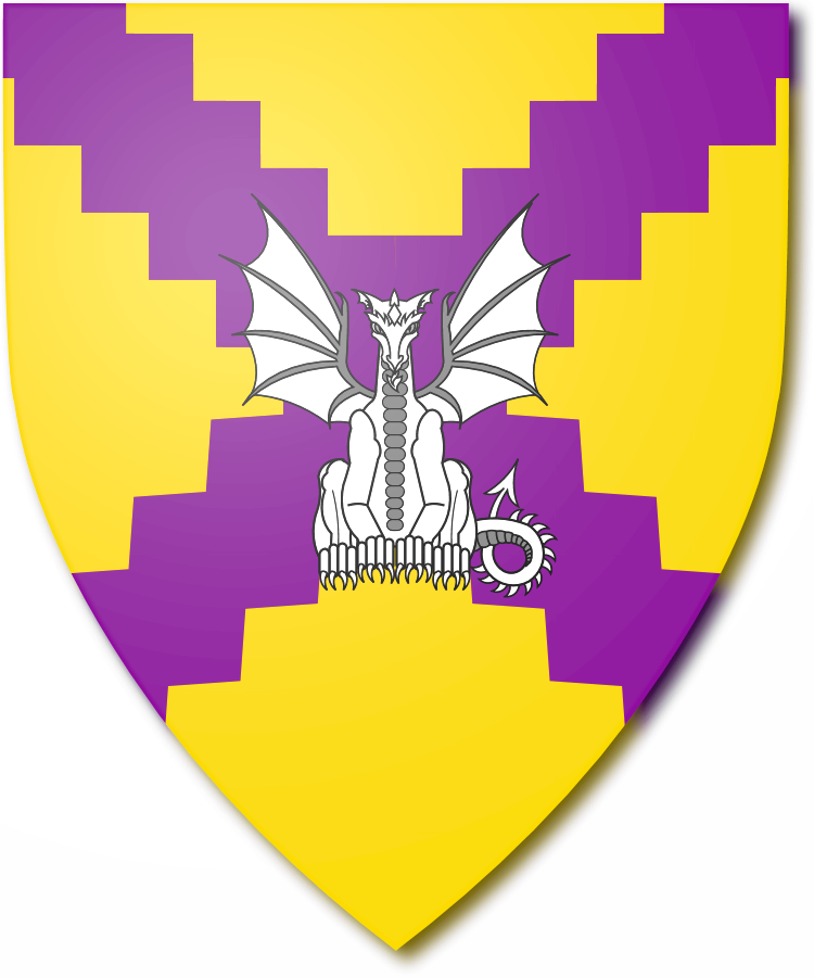 Shield image