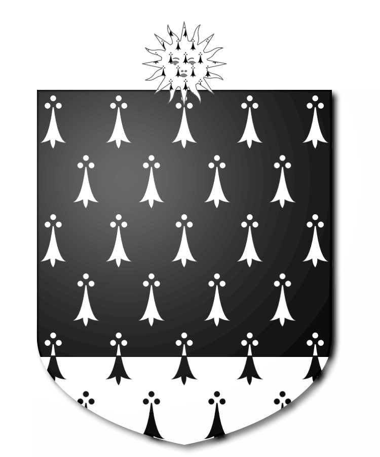 Shield image